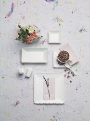 kuist-series-19
